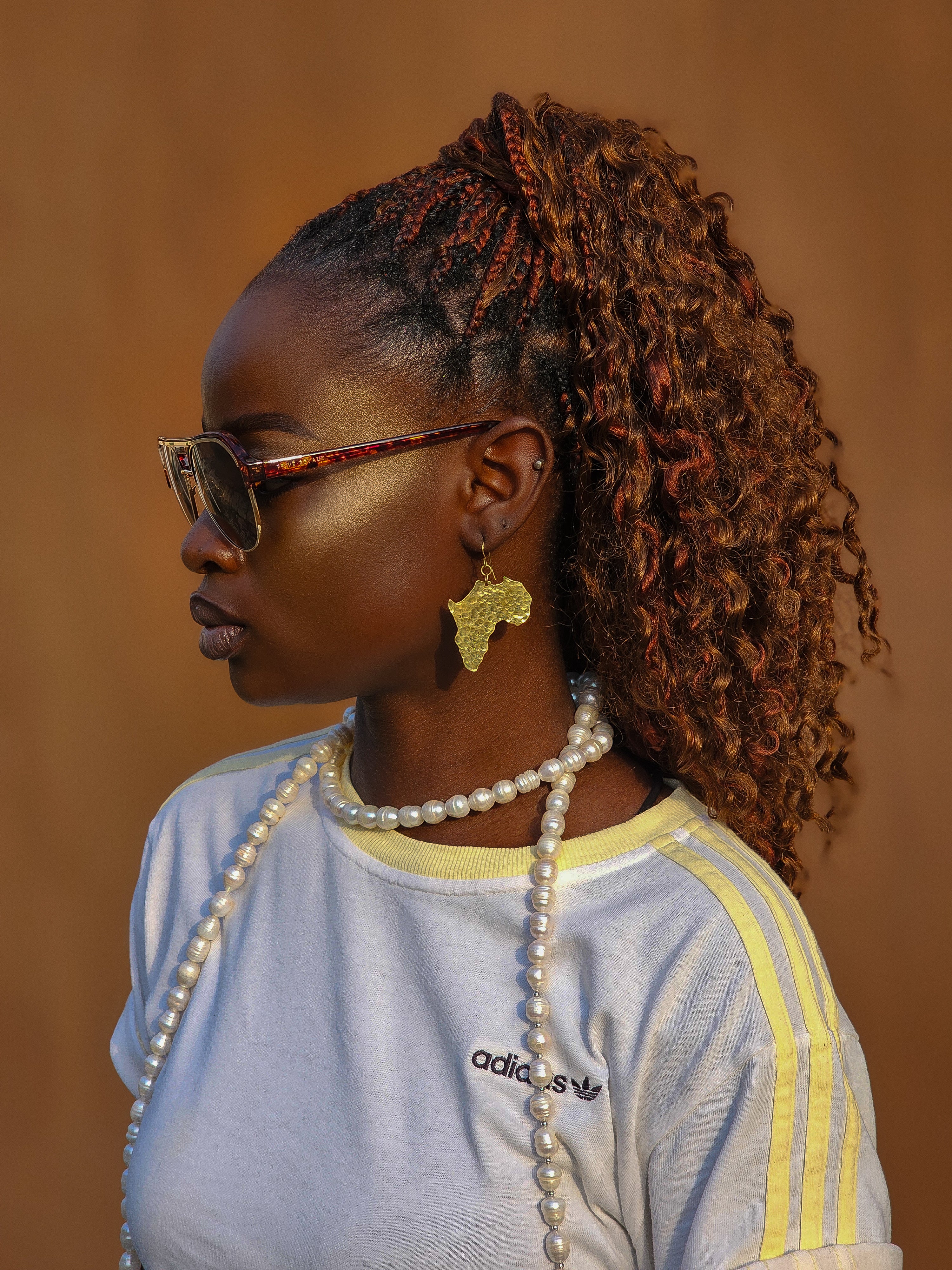 Map of Africa Earrings